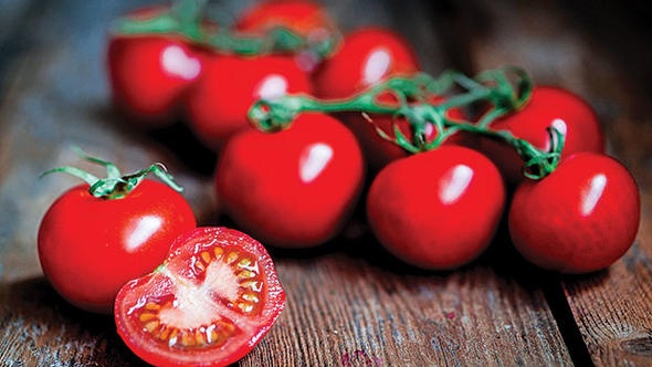 domates diyeti nasıl yapılır