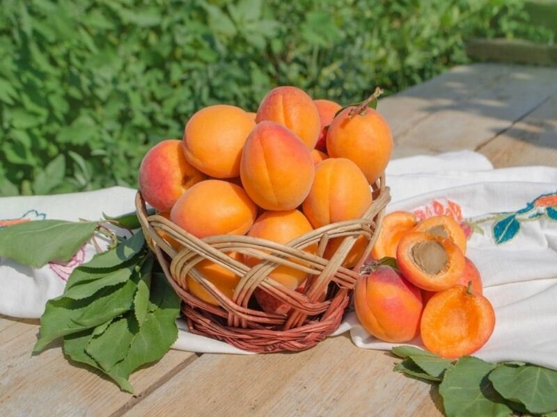 4 günde 4 kilo verdiren diyet